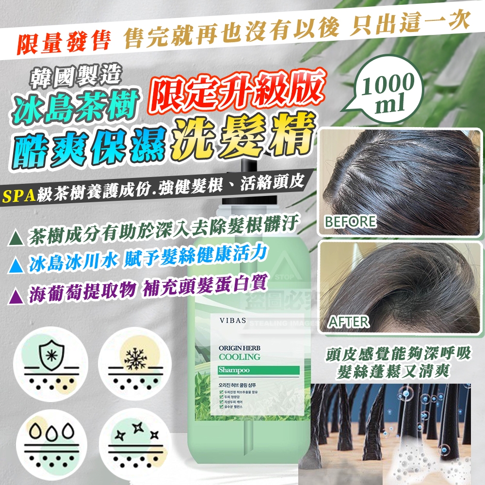 韓國製造 冰島茶樹酷爽保濕洗髮精 限定升級版1000ml